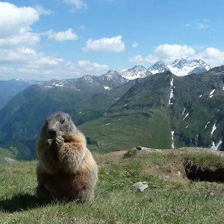 Franz Appartamento Kaprun