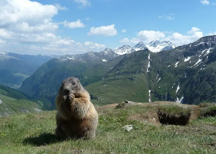 Franz Appartement Kaprun